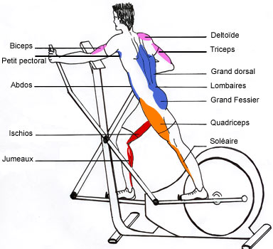 FITNESS HOTMAIL COM fitness hotmail com: