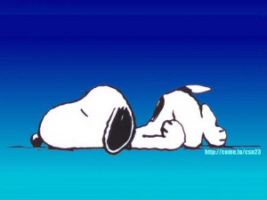 sommeil