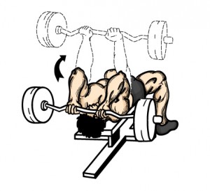 lying-tricep-extension