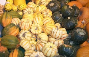WinterSquash