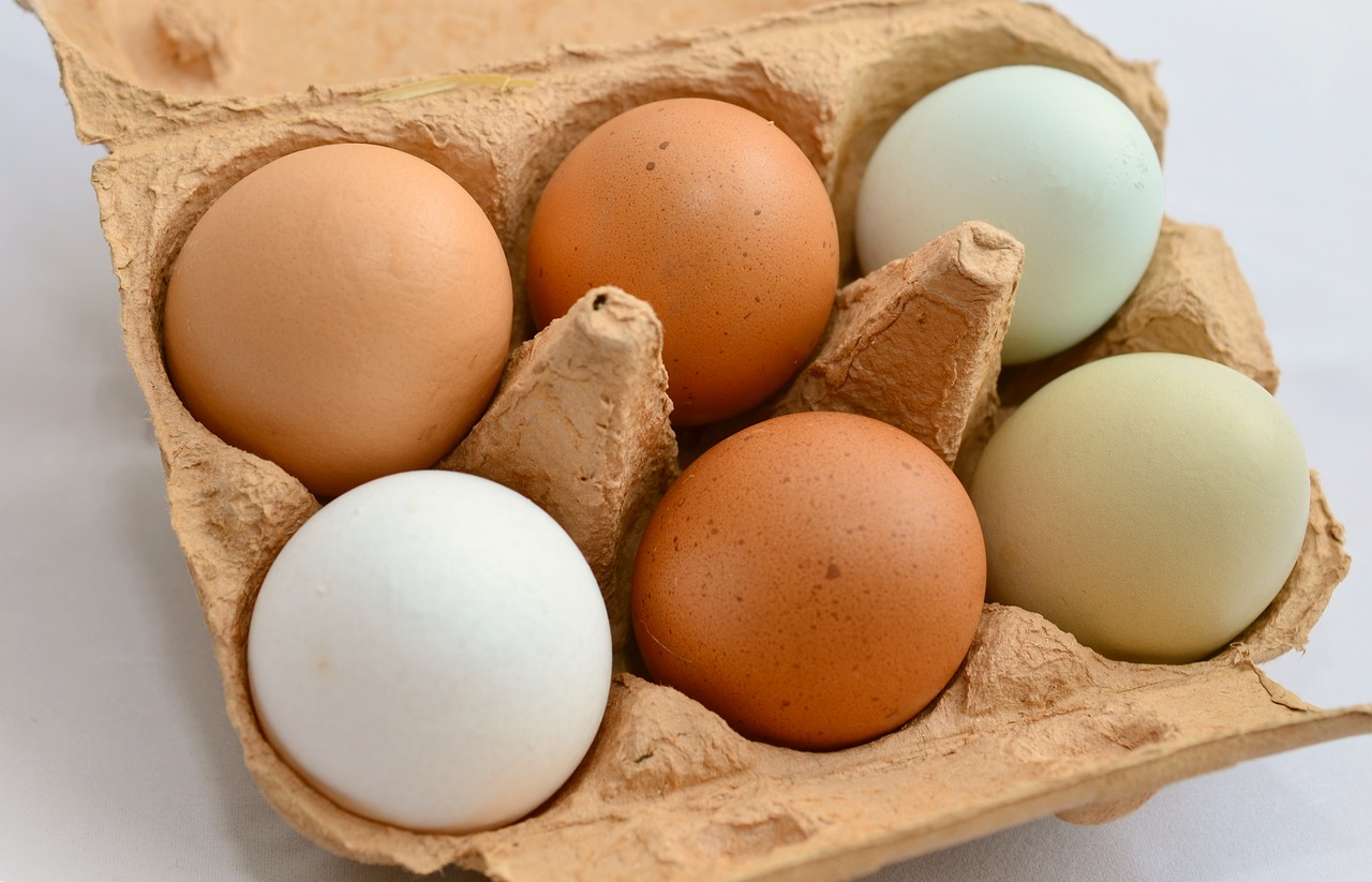 egg-653303_1280 (2)