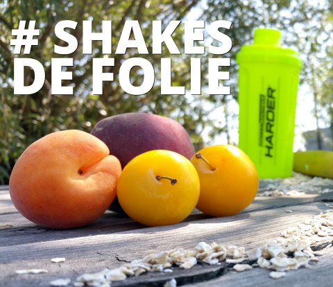 NEW SHAKE DE FOLIE