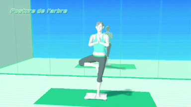 Wii Fit - fitness musculation